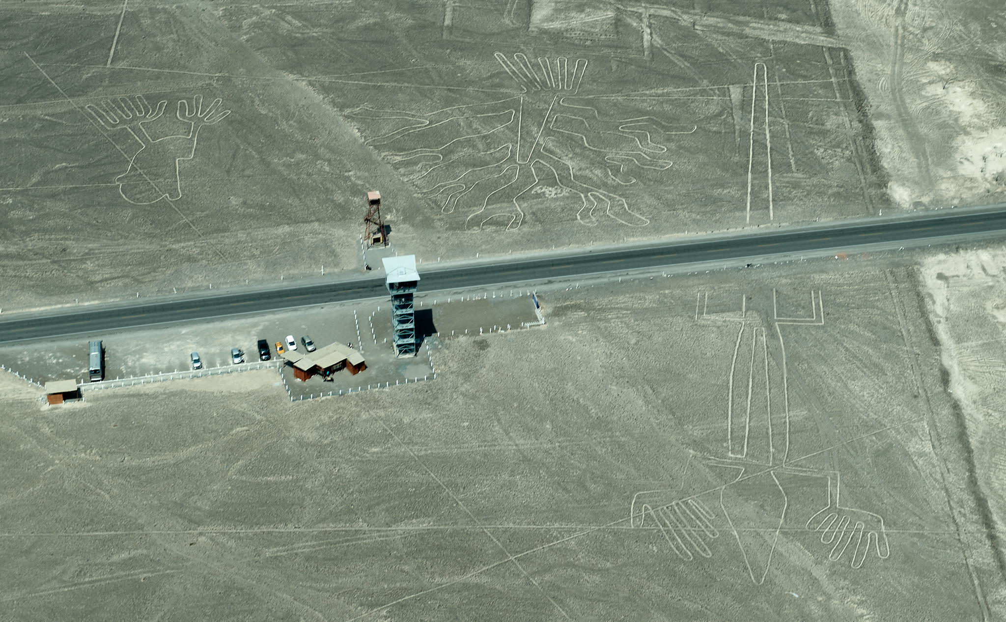 20200305 384 [페루] 나스카 라인